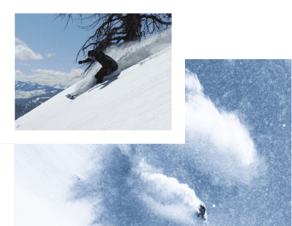 skiers